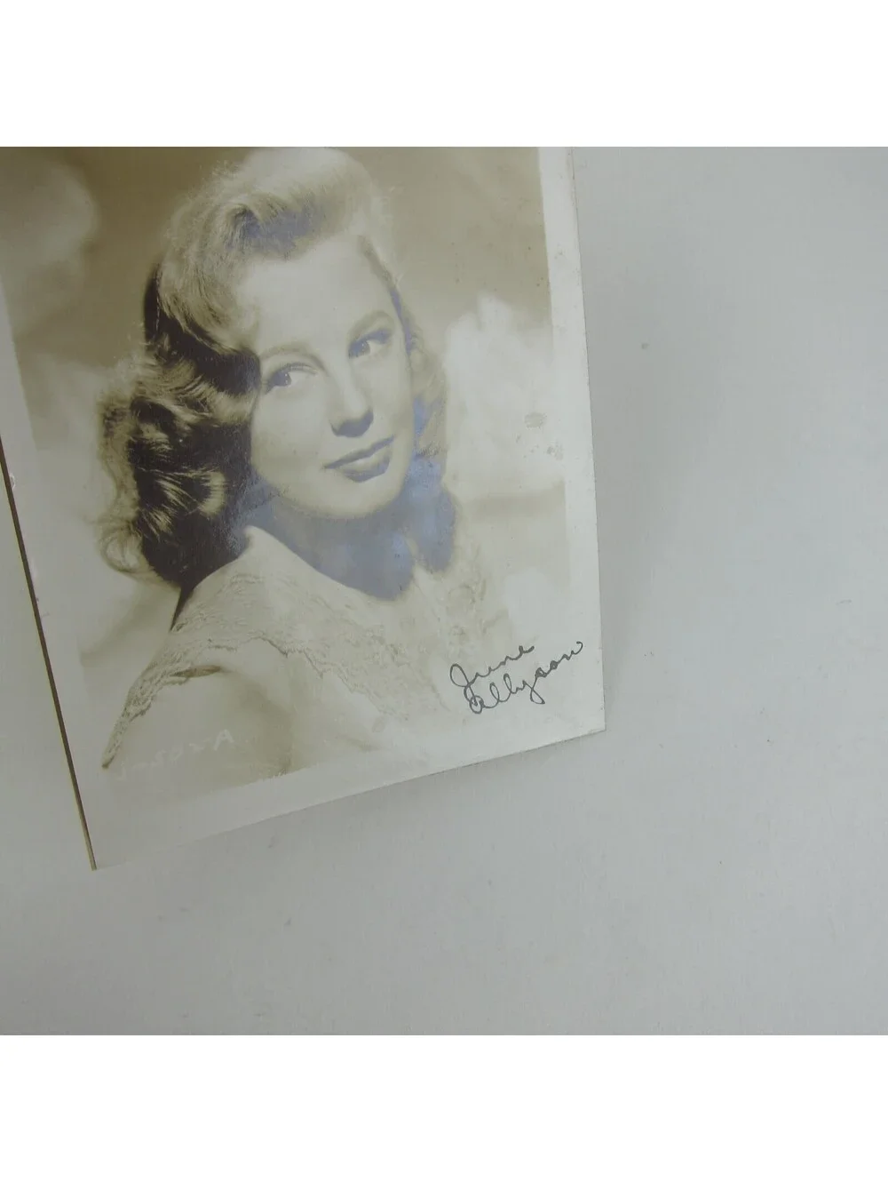 June Allyson Photograph 5x4 Hollywood Actress Portrait Vintage 1940s